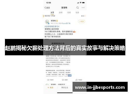 赵鹏揭秘欠薪处理方法背后的真实故事与解决策略